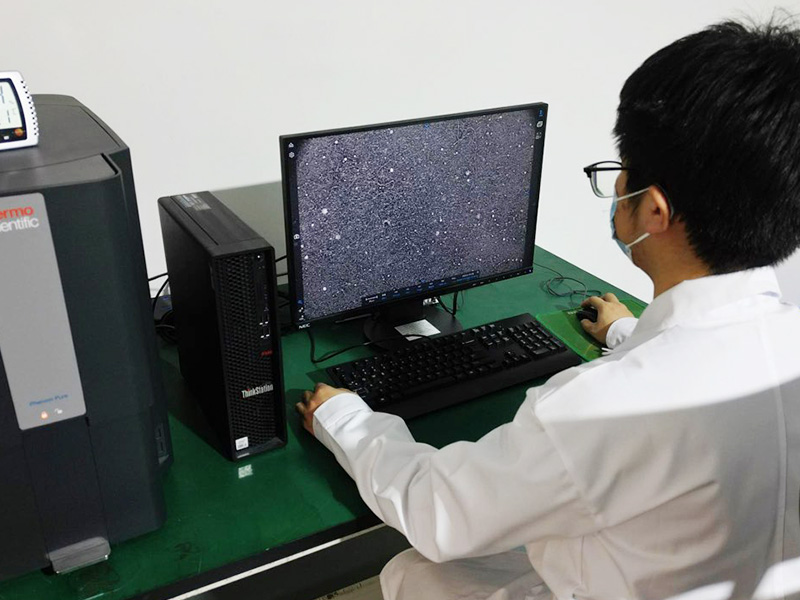 飞纳电镜Phenom Pure台式扫描电子显微镜